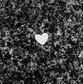 The Little Things